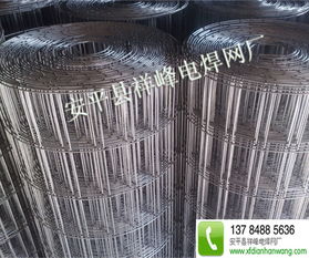 電焊網(wǎng)的應(yīng)用與祥峰電焊網(wǎng)的優(yōu)勢(shì)